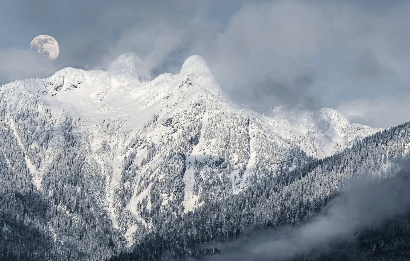Photo wallpaper winter, forest, the sky, clouds, light, snow, mountains, rocks
