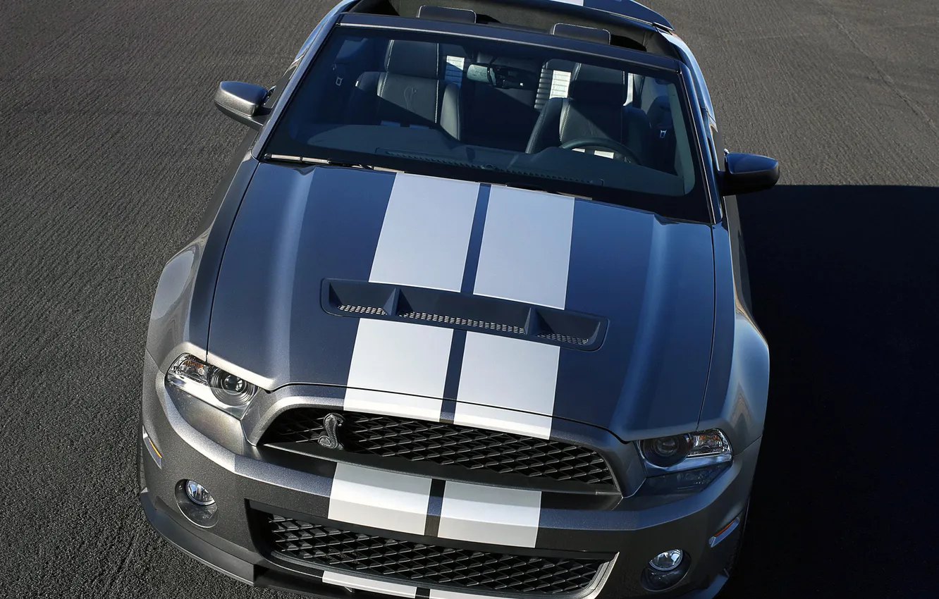 Photo wallpaper Mustang, Ford, Shelby, GT500, Mustang, silver, Roadster, Ford