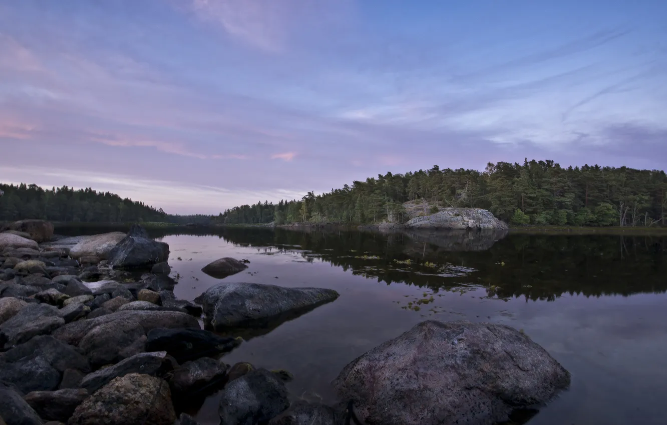 Photo wallpaper forest, lake, stones, the evening