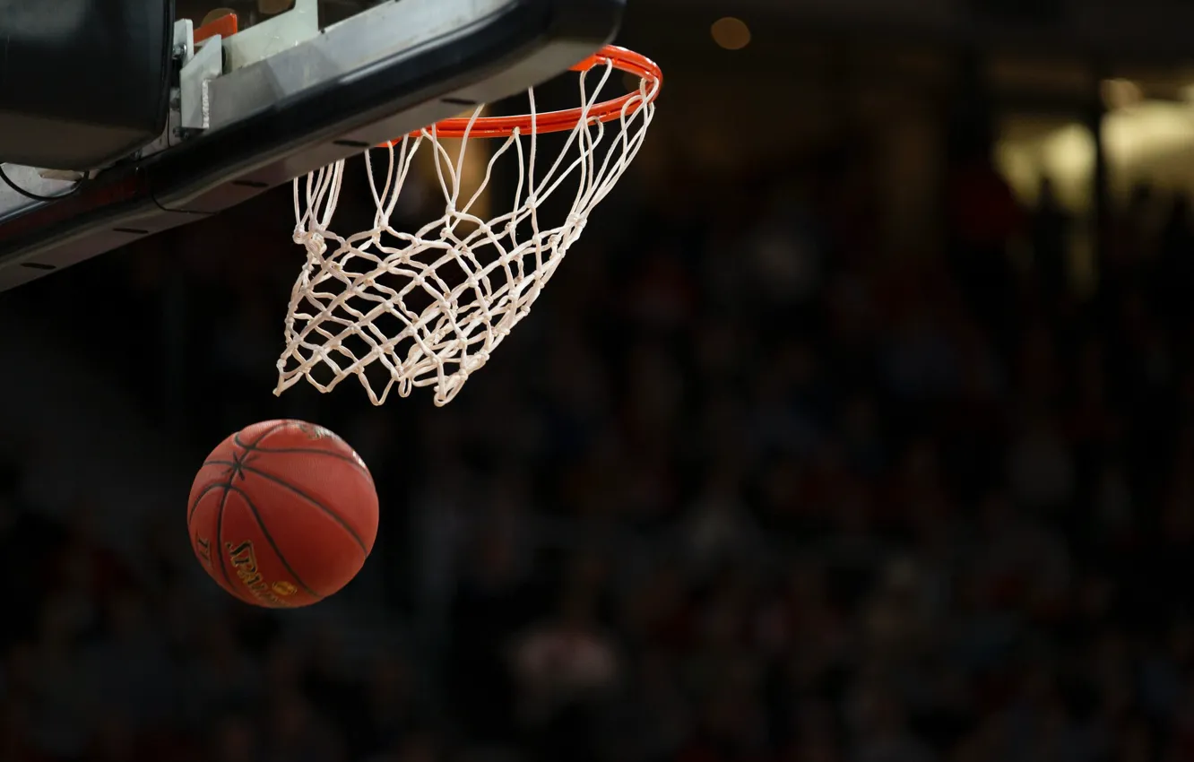 Photo wallpaper basket, the ball, ring, Basketball, shield, basketball