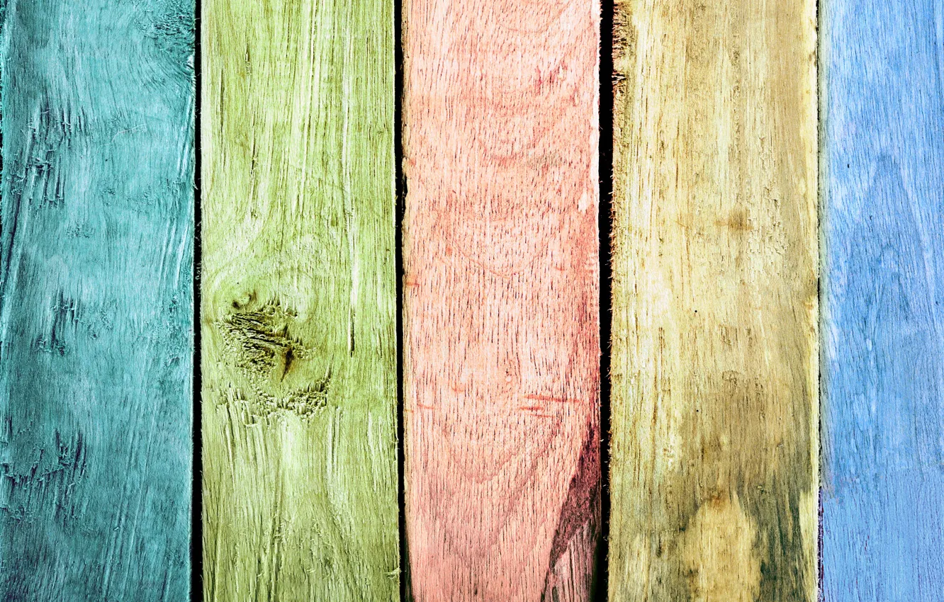 Photo wallpaper trees, paint, color