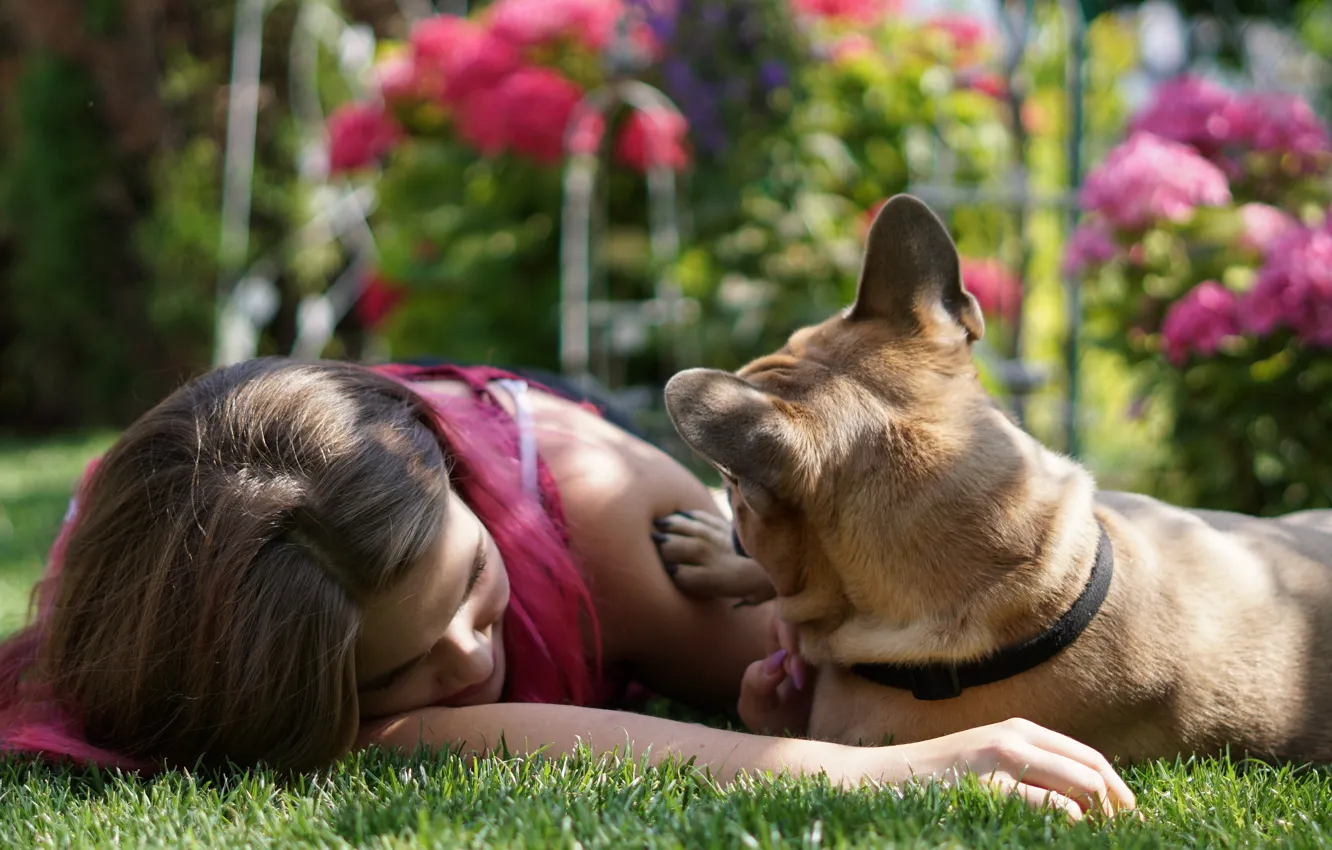 Photo wallpaper summer, grass, girl, light, flowers, pose, comfort, each