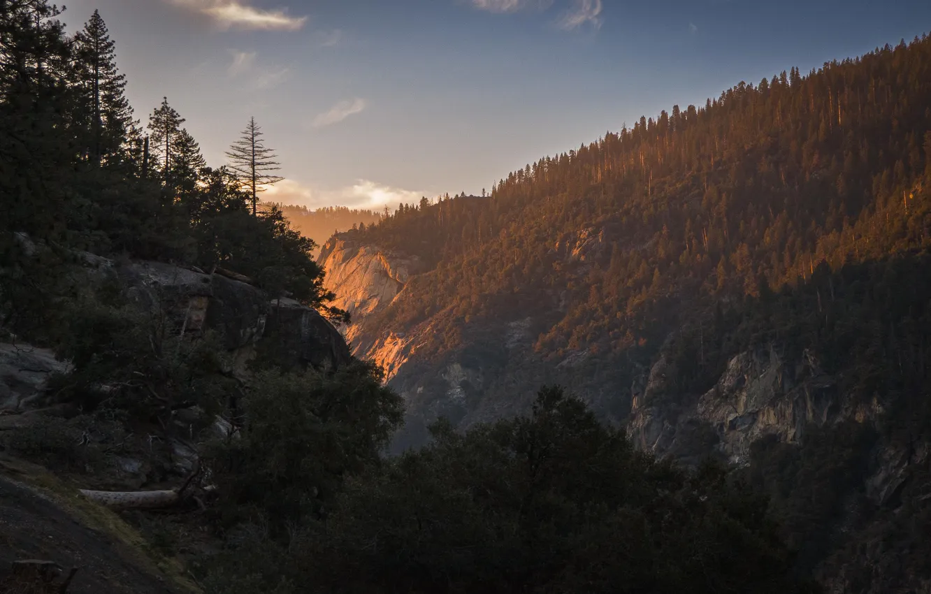 Photo wallpaper forest, the sky, the sun, trees, sunset, mountains, stones, rocks