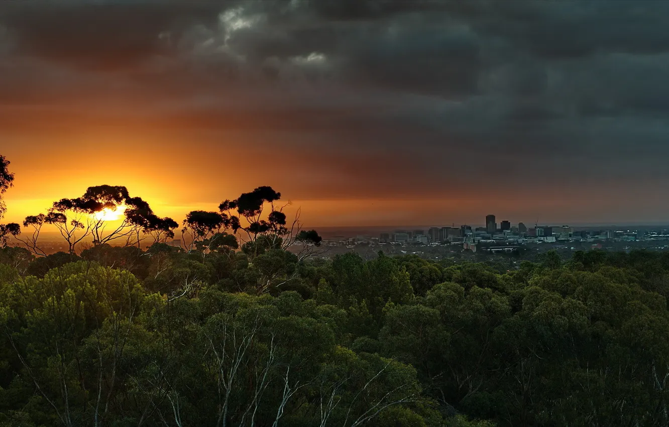 Photo wallpaper Australia, South Australia, Adelaide, Burnside