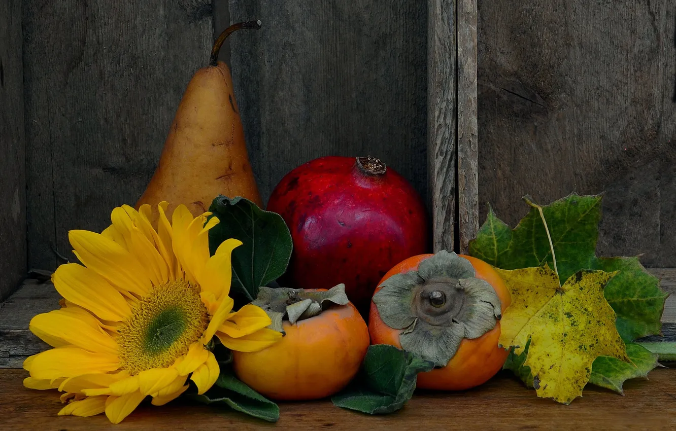 Photo wallpaper leaves, sunflowers, flowers, pear, persimmon