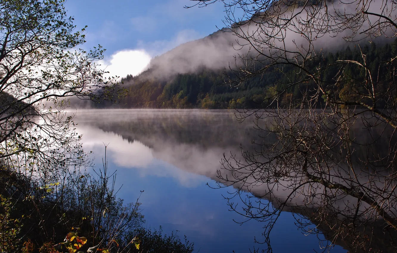 Photo wallpaper the sky, water, trees, landscape, nature, fog, reflection