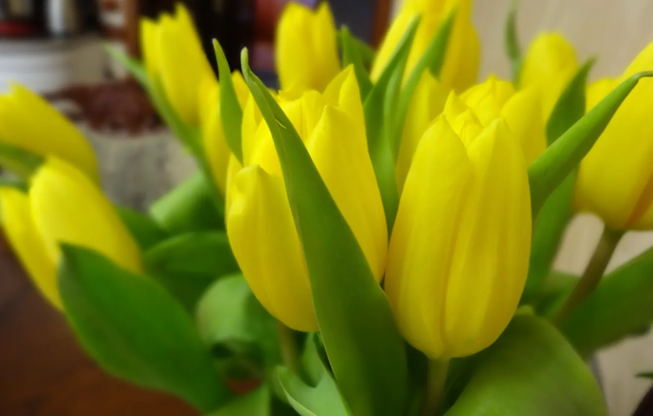 Photo wallpaper flowers, bouquet, yellow tulips