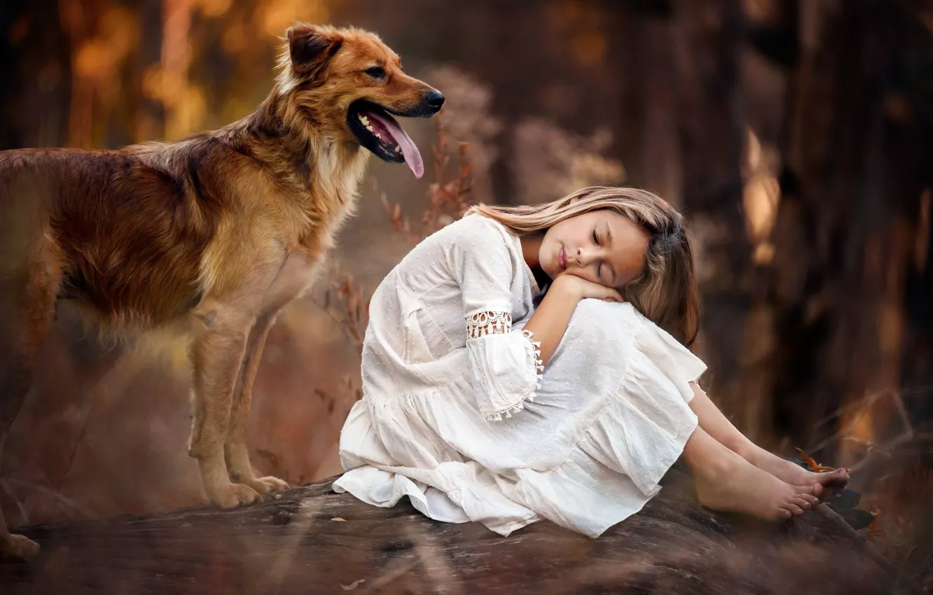 Photo wallpaper mood, dog, girl