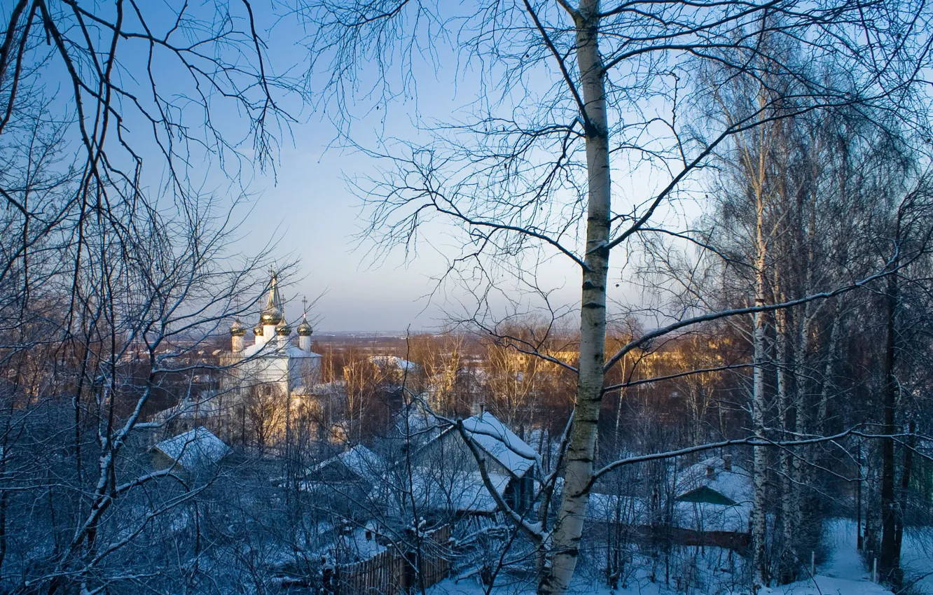 Photo wallpaper winter, snow, trees, the evening, temple, town, dome