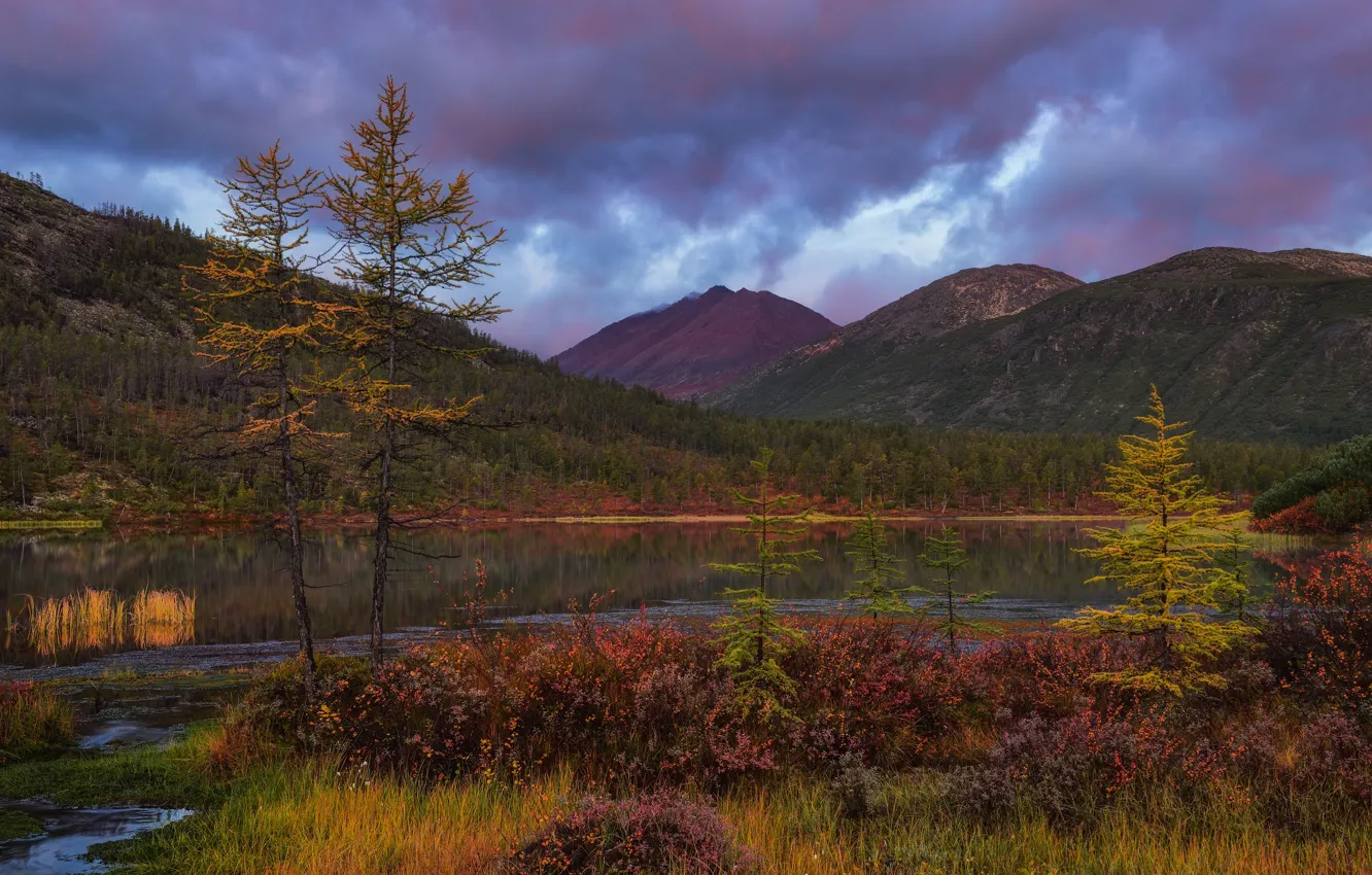 Photo wallpaper autumn, forest, mountains, clouds, lake, shore, slope, shrub