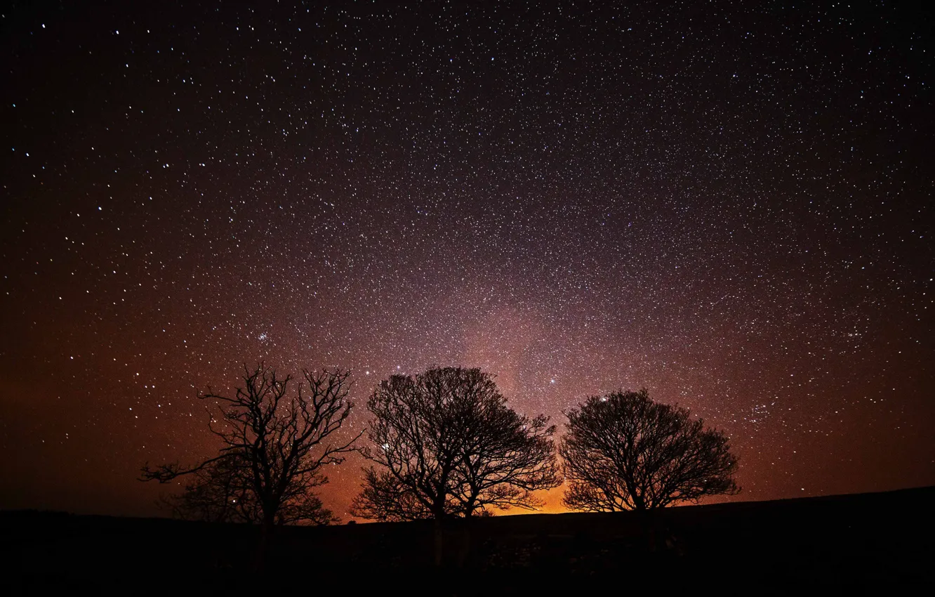 Photo wallpaper space, stars, trees, night, silhouette