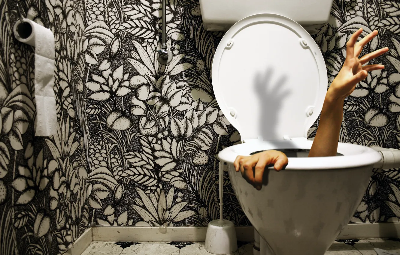 Photo wallpaper paper, hands, the toilet, in the toilet, lost, the plunger