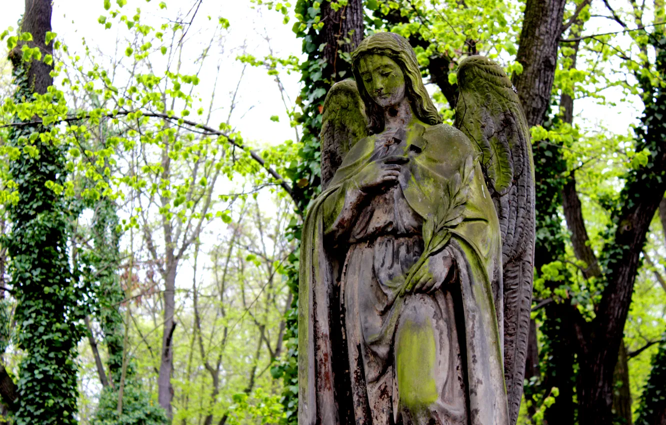 Photo wallpaper Prague, image, statue, Olšany cemetery