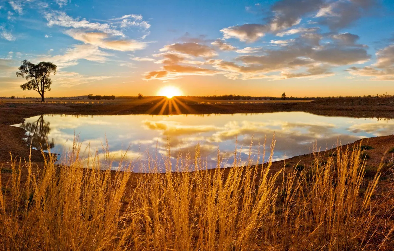 Photo wallpaper grass, the sun, clouds, lake, 155