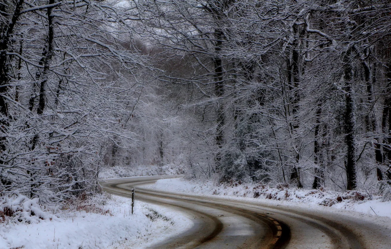 Photo wallpaper winter, road, forest