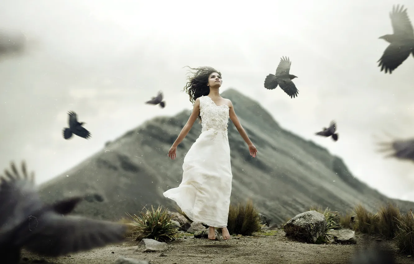 Photo wallpaper girl, birds, mood, the situation