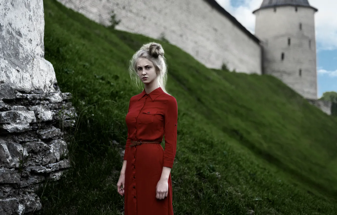 Photo wallpaper dress, in red, Lena, Tatiana Mercalova