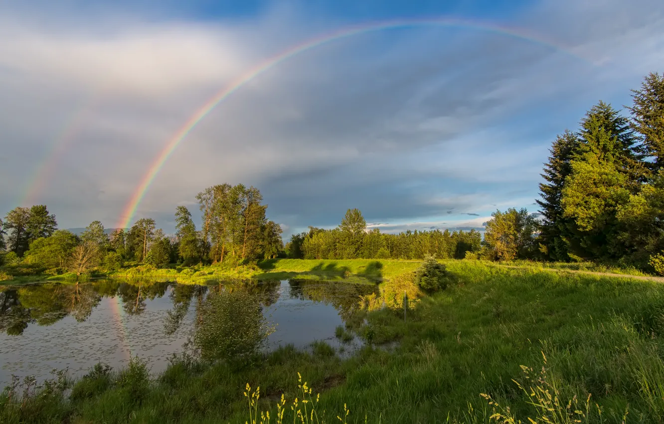 Photo wallpaper field, trees, landscape, lake, rainbow