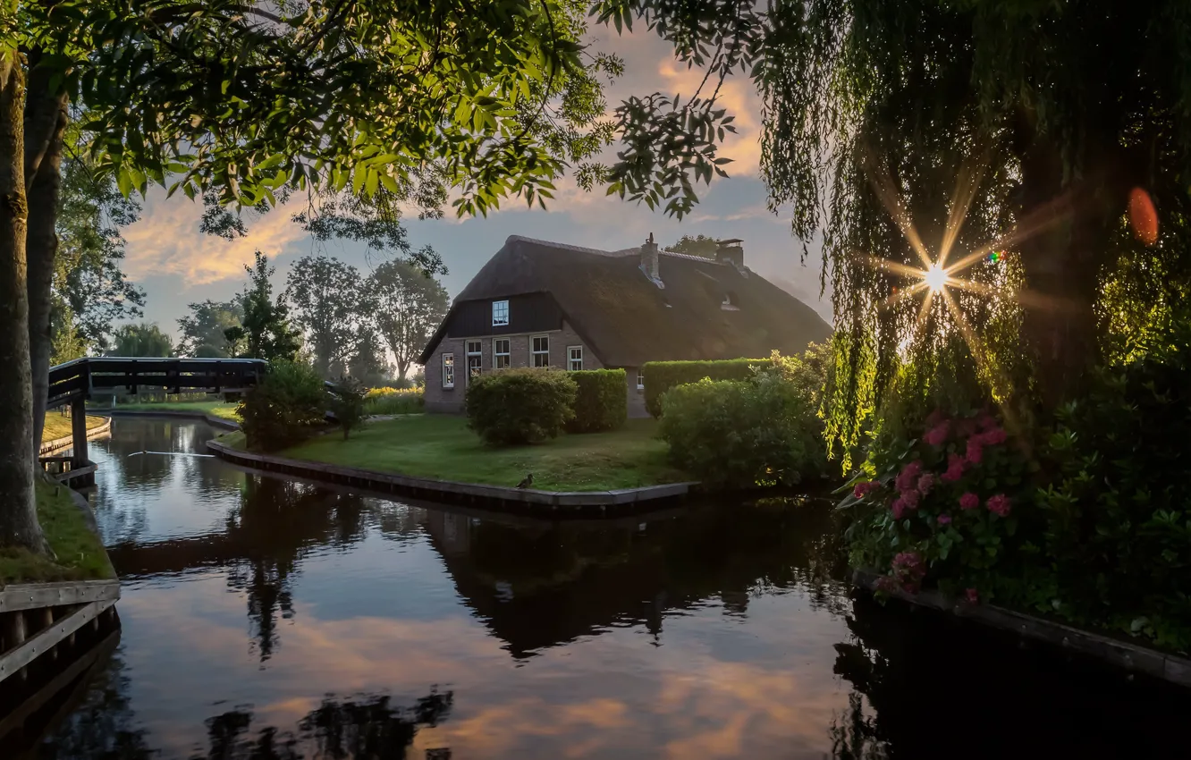 Photo wallpaper summer, the sky, the sun, rays, light, trees, landscape, sunset