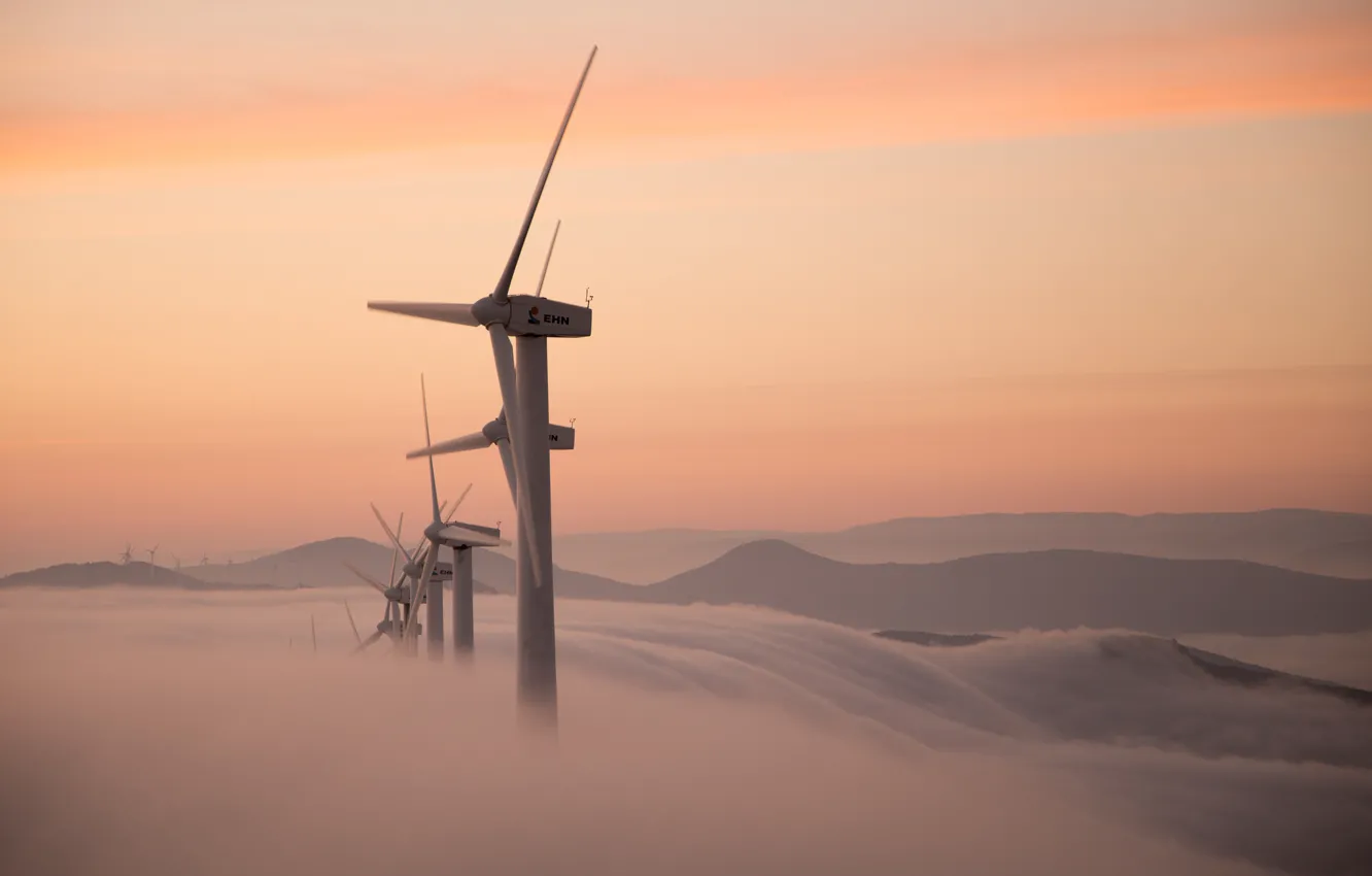 Photo wallpaper fog, morning, windmills
