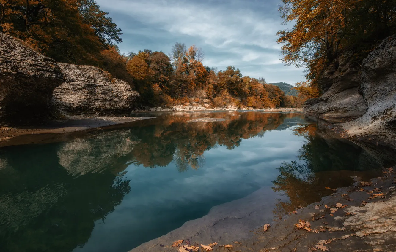 Photo wallpaper autumn, forest, the sky, water, clouds, trees, lake, pond