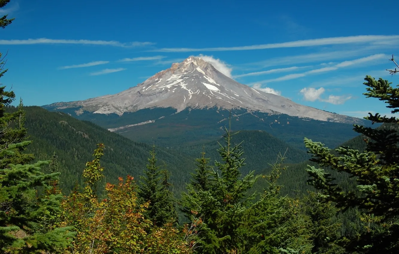 Photo wallpaper forest, summer, clouds, snow, trees, mountains, tops, ate