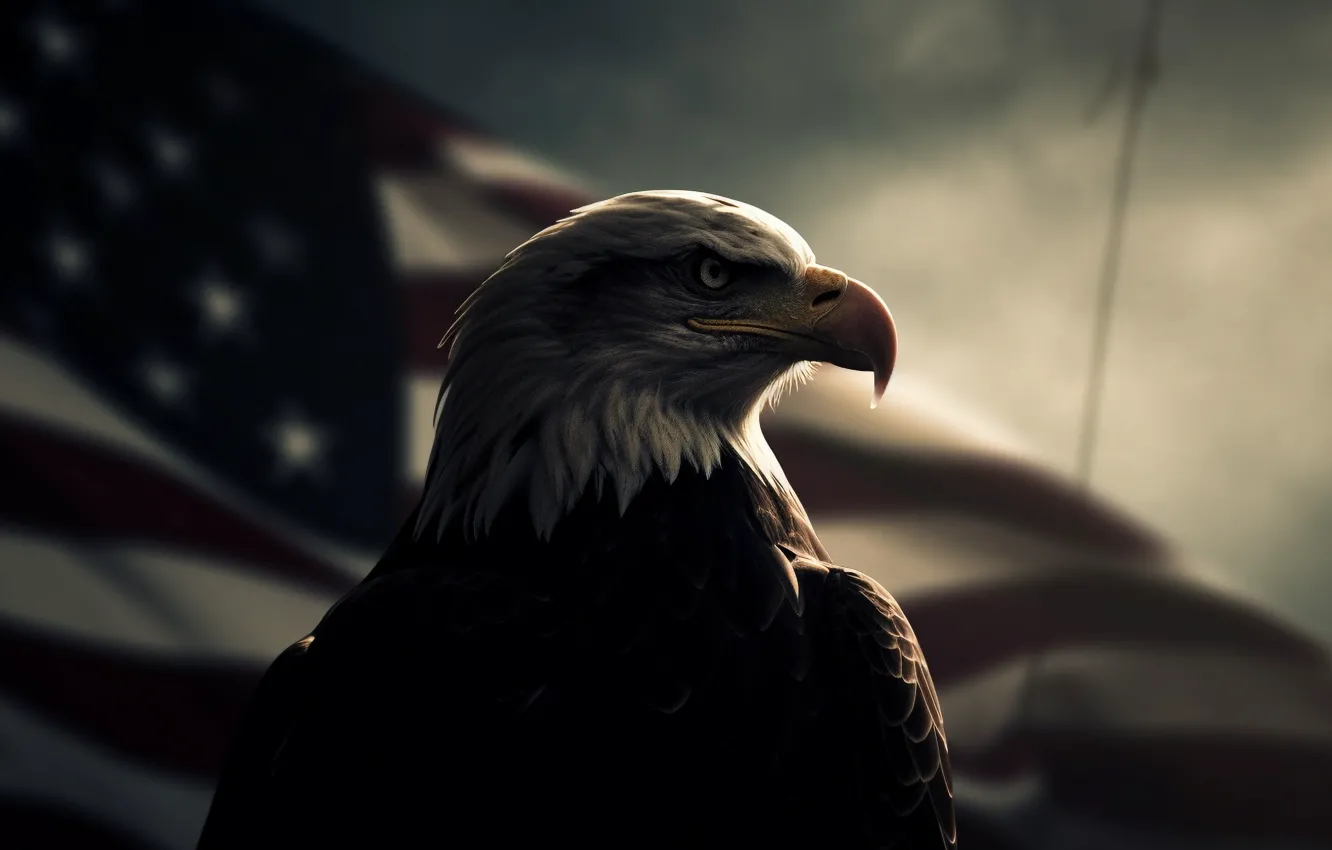 Photo wallpaper look, bird, eagle, predator, beak, flag, USA, side
