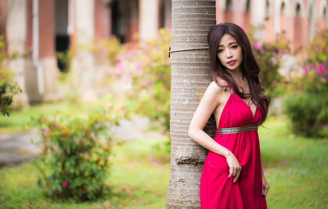 Photo wallpaper girl, hair, dress, Asian