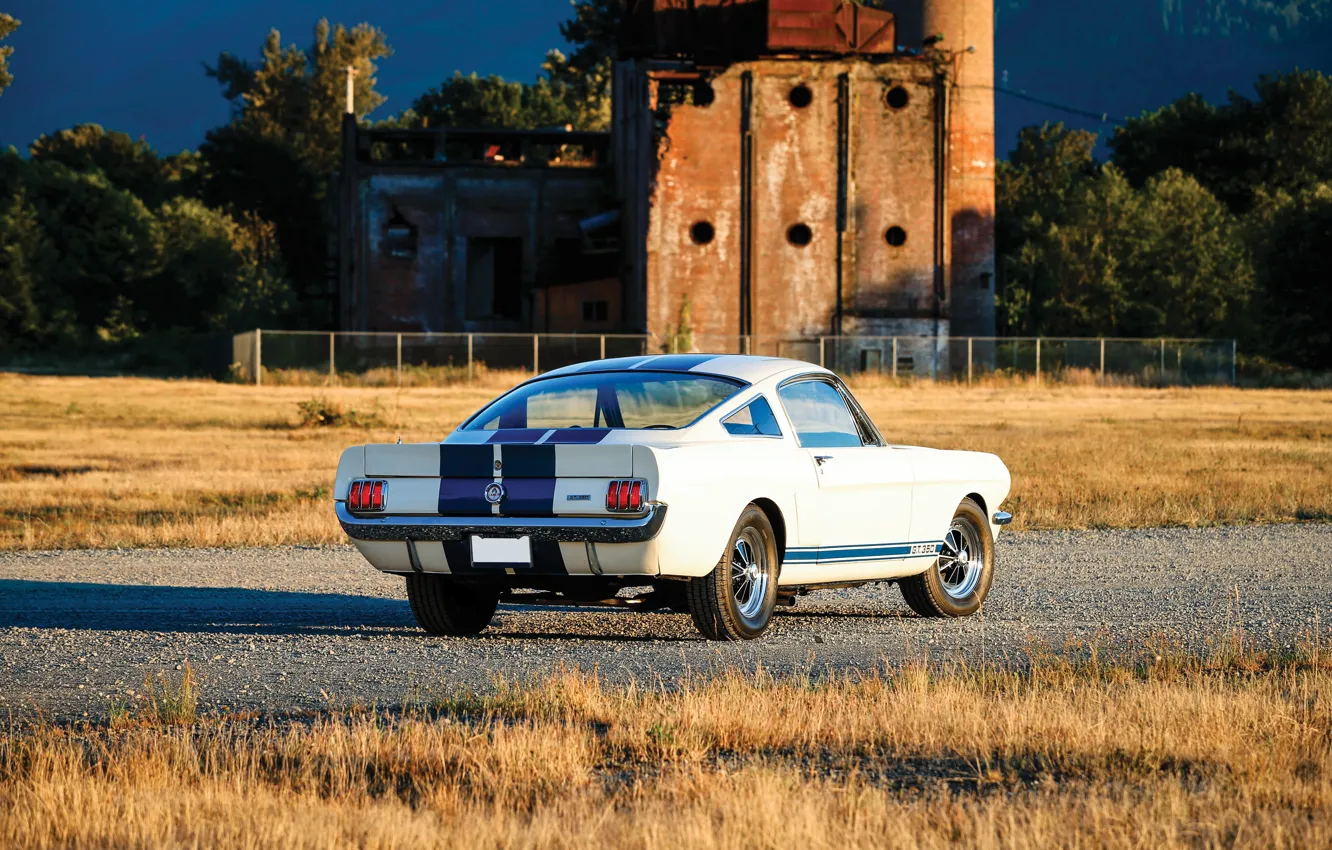 Photo wallpaper Mustang, Ford, Ford Mustang Shelby GT350, rear view, blue stripes