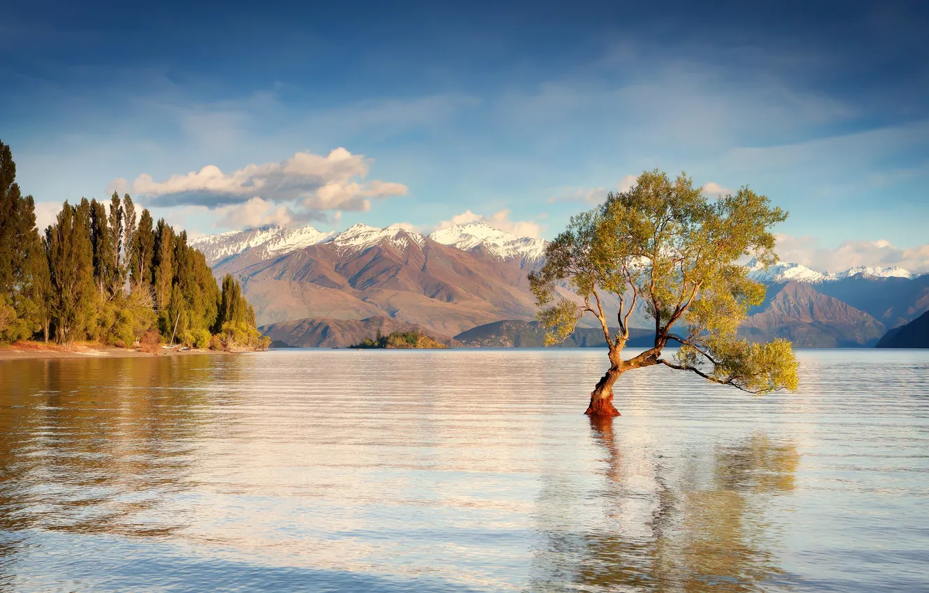Photo wallpaper sky, landscape, clouds, tree