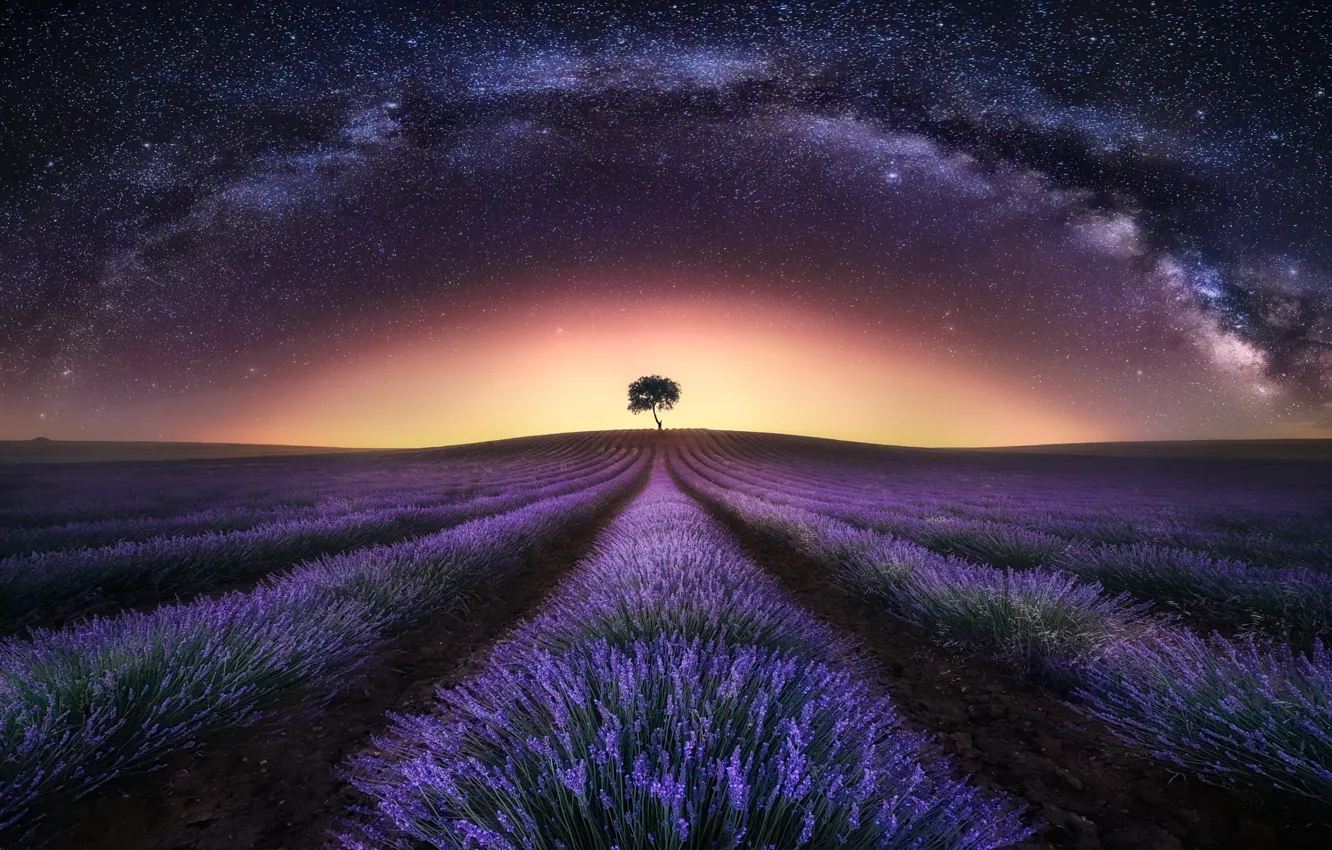 Photo wallpaper field, the sky, stars, night, the milky way, lavender