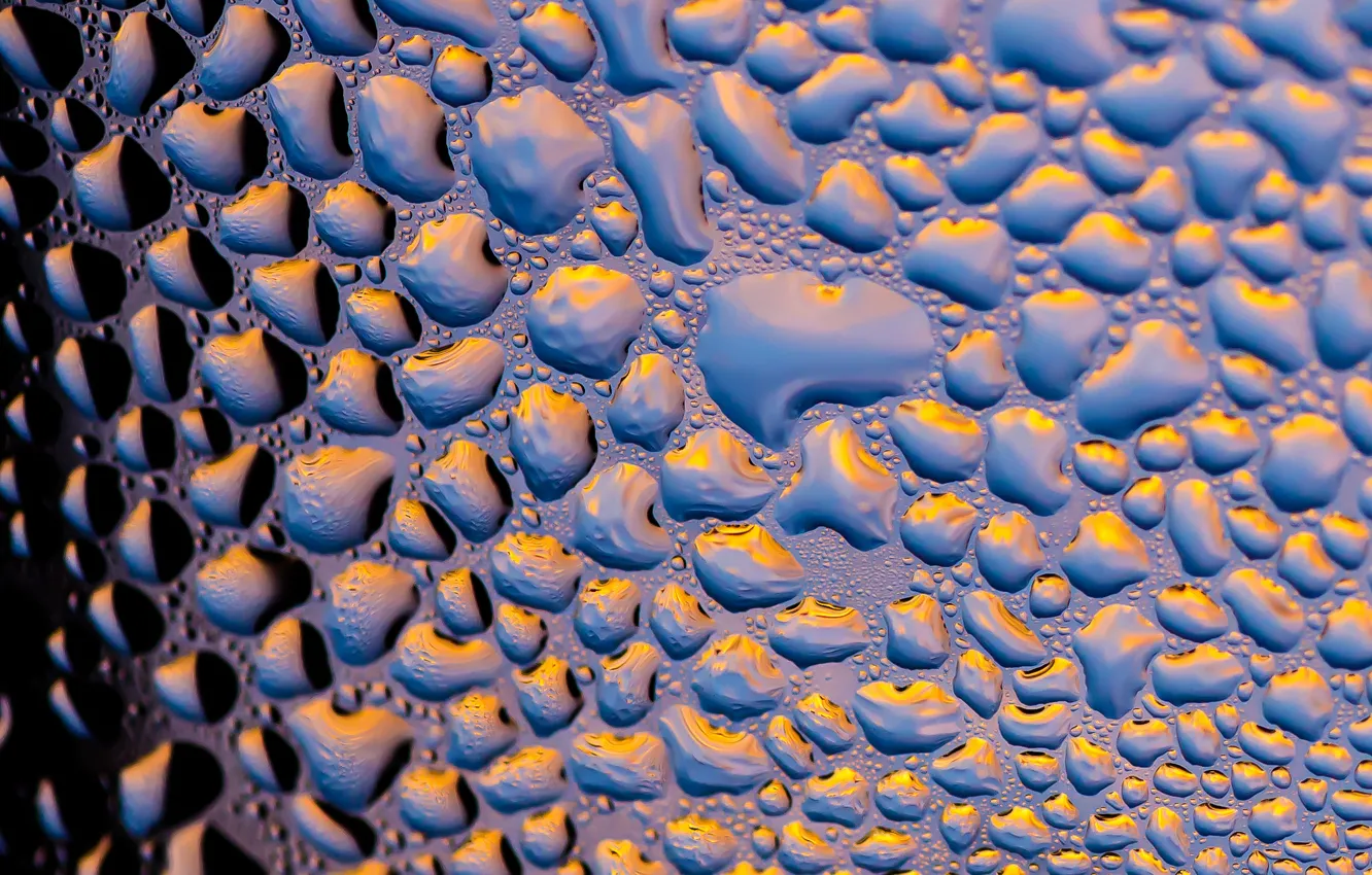 Photo wallpaper glass, drops, light, reflection, window