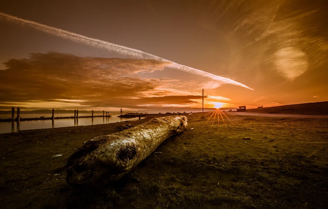 Photo wallpaper sunset, shore, log