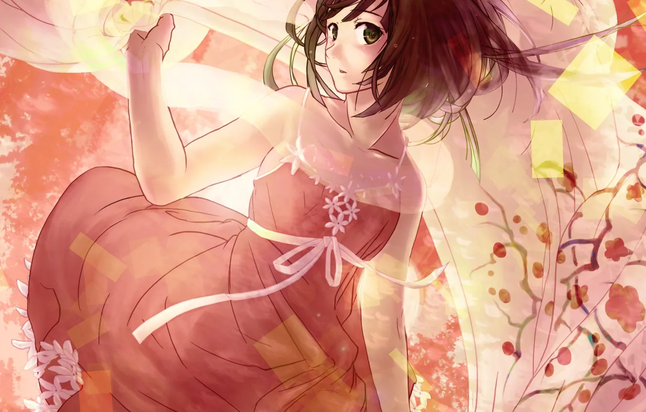 Photo wallpaper girl, flowers, anime, art, tape, bakemonogatari, history of monsters, sengoku nadeko