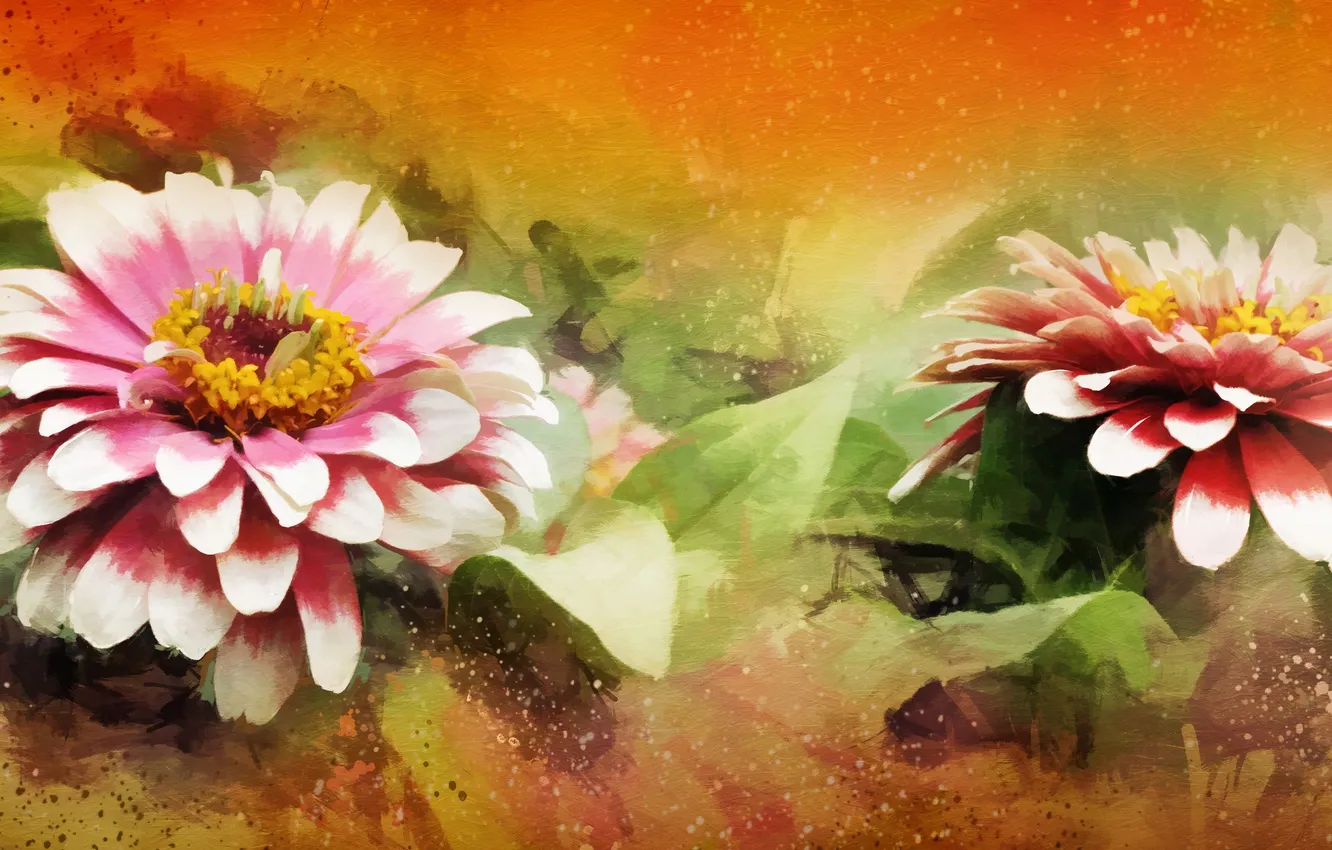 Photo wallpaper flowers, nature, background