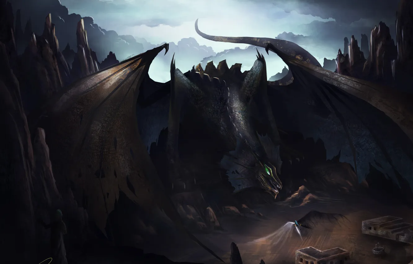 Photo wallpaper look, weapons, fiction, dragon, wings, angel, the demon, art