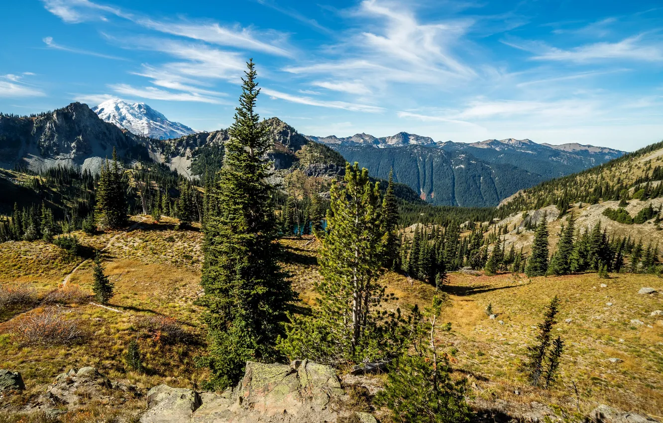 Photo wallpaper forest, trees, mountains, lake, stones, USA, Rocky Mountain National Park