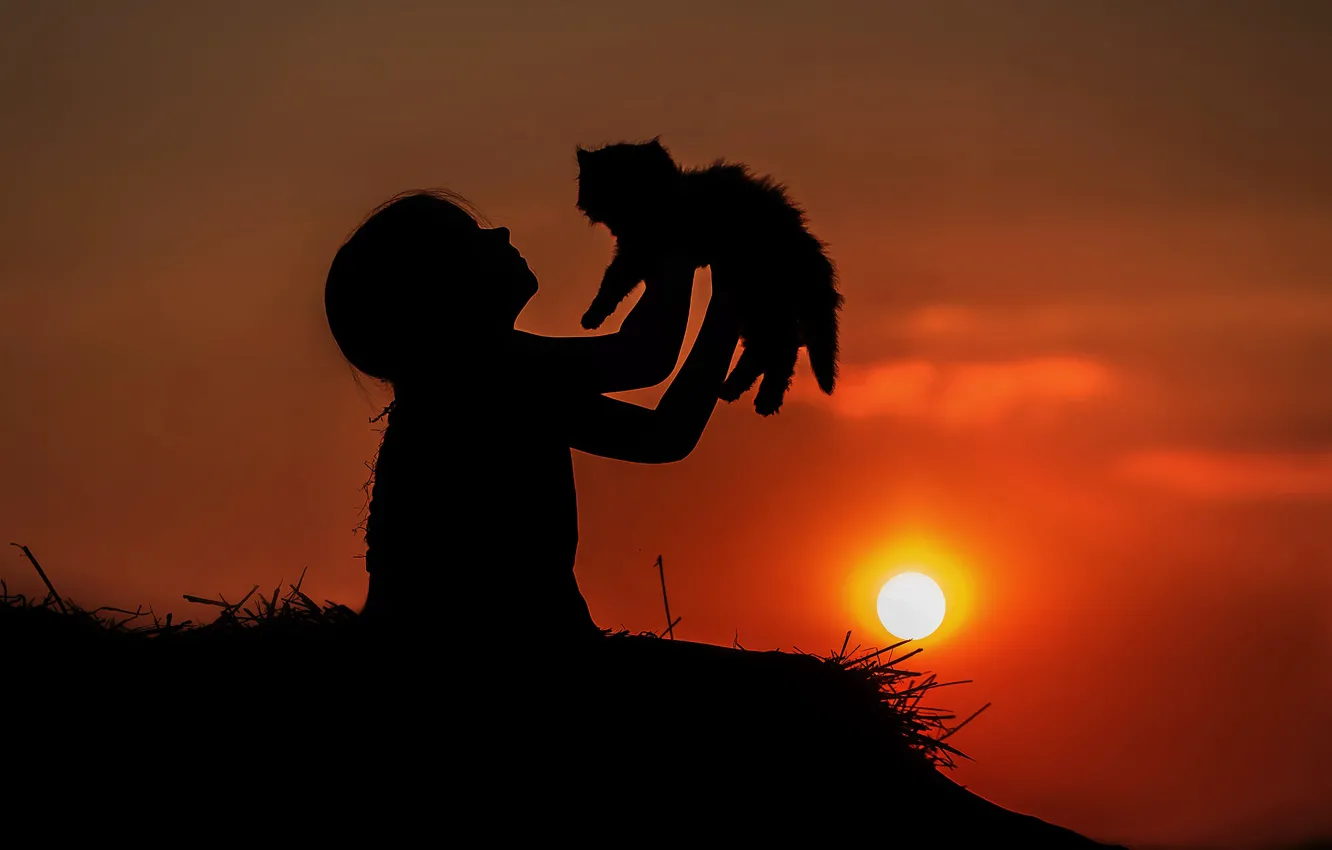 Photo wallpaper the sky, the sun, sunset, dawn, silhouette, girl, kitty