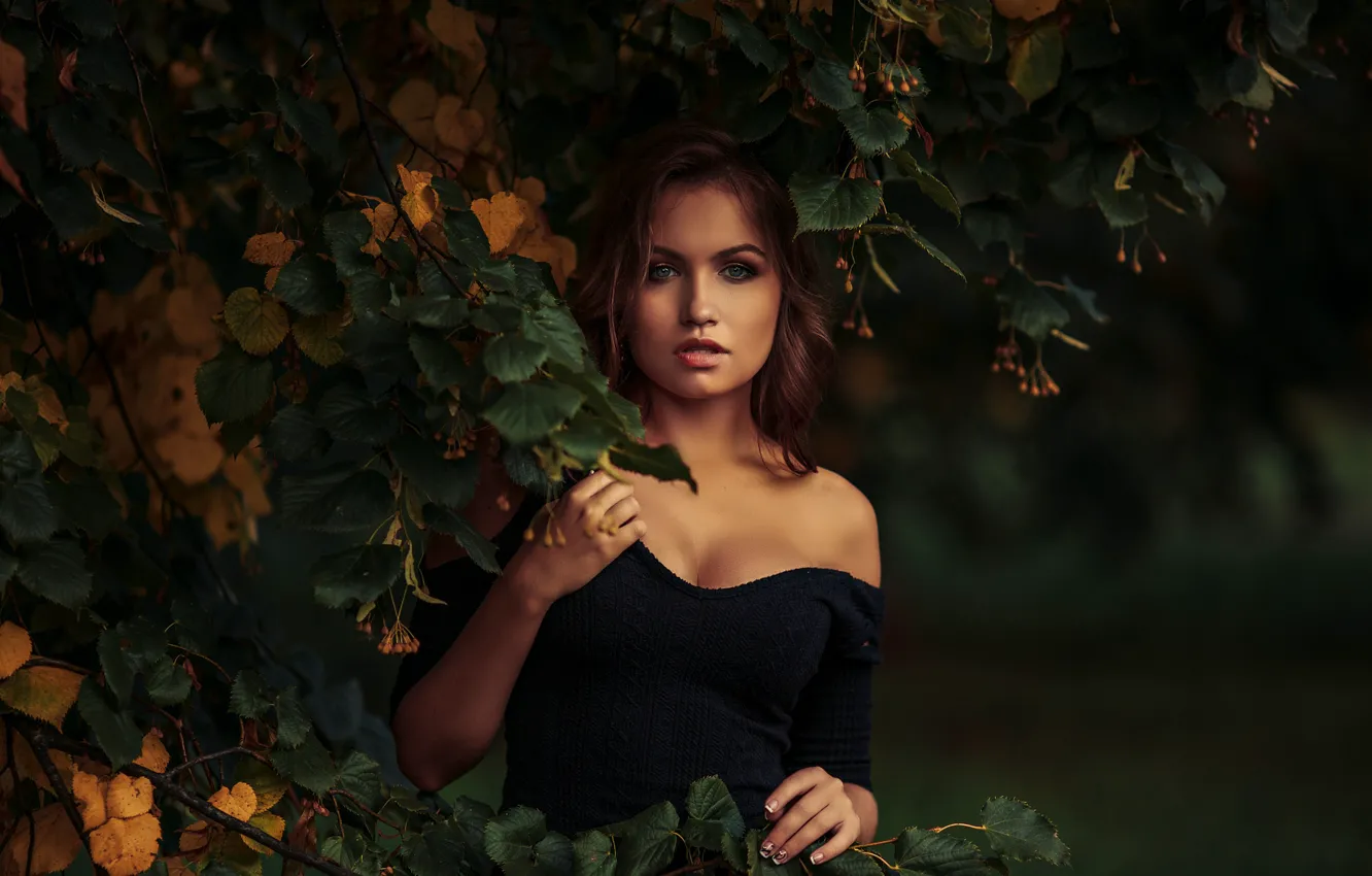 Photo wallpaper girl, trees, blouse, sweater, Linden