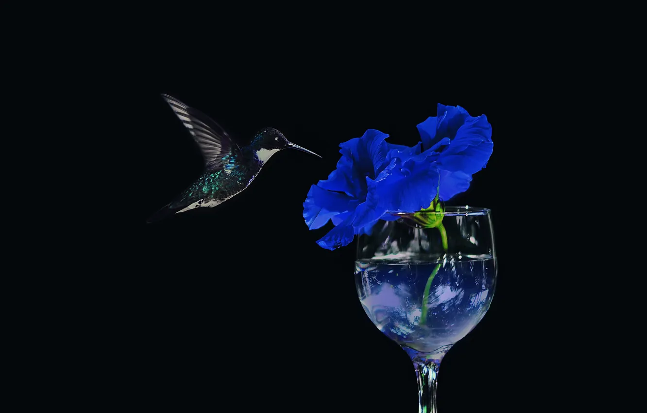 Photo wallpaper flowers, glass, caliber