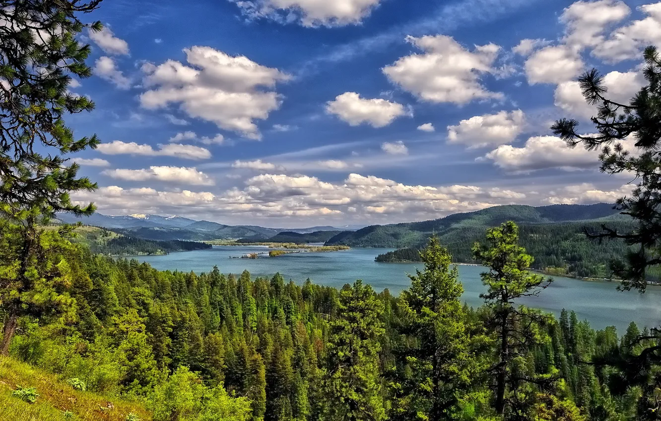Photo wallpaper forest, clouds, trees, lake, Lake Coeur d'alene
