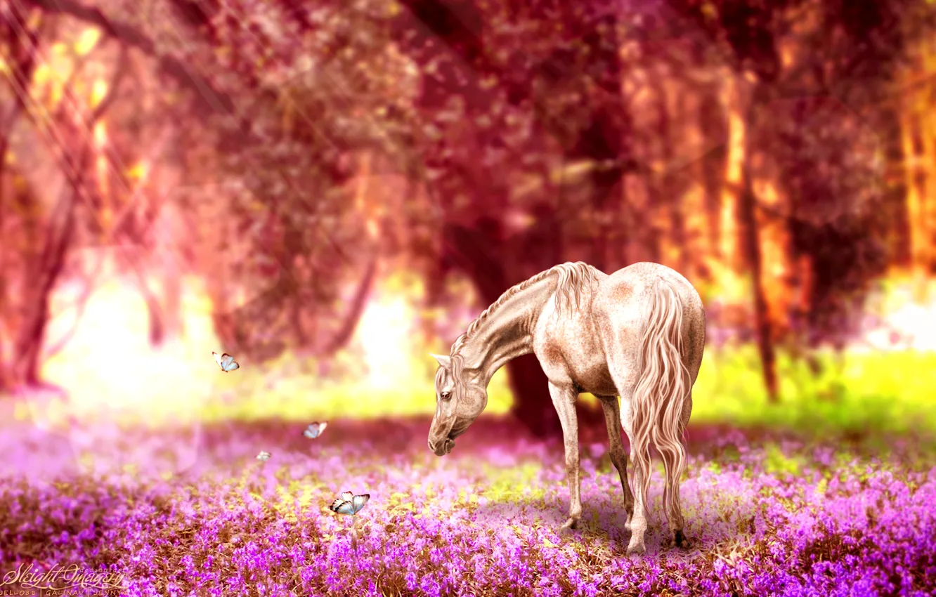 Photo wallpaper flowers, nature, butterfly, horse, retouching