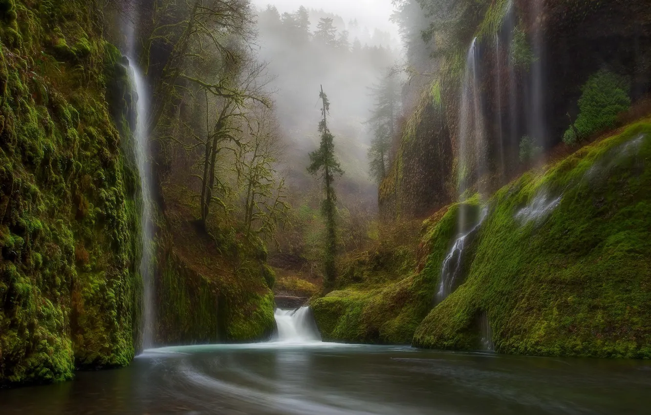 Photo wallpaper forest, nature, river, waterfall, Oregon, USA