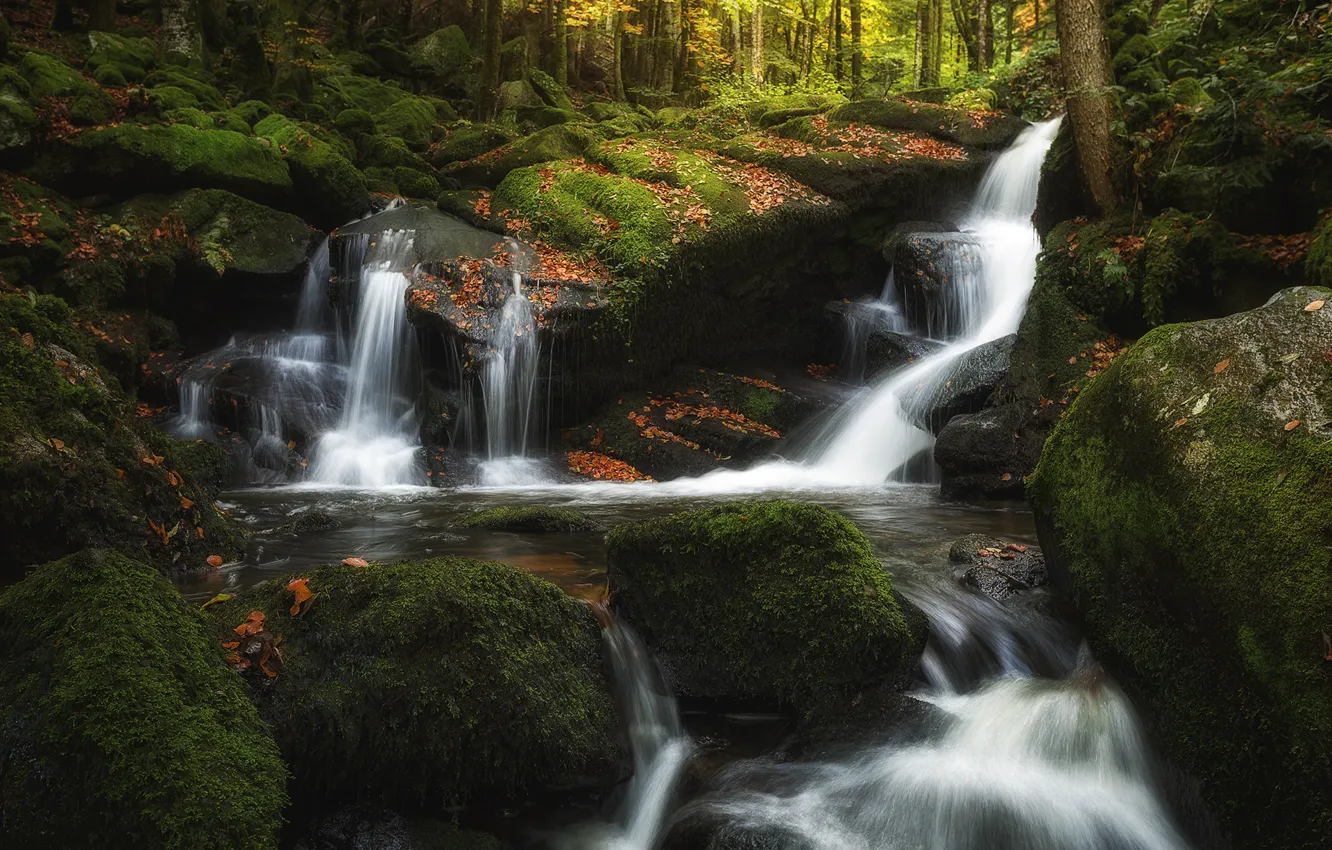 Photo wallpaper autumn, forest, trees, stones, rocks, shore, foliage, waterfall