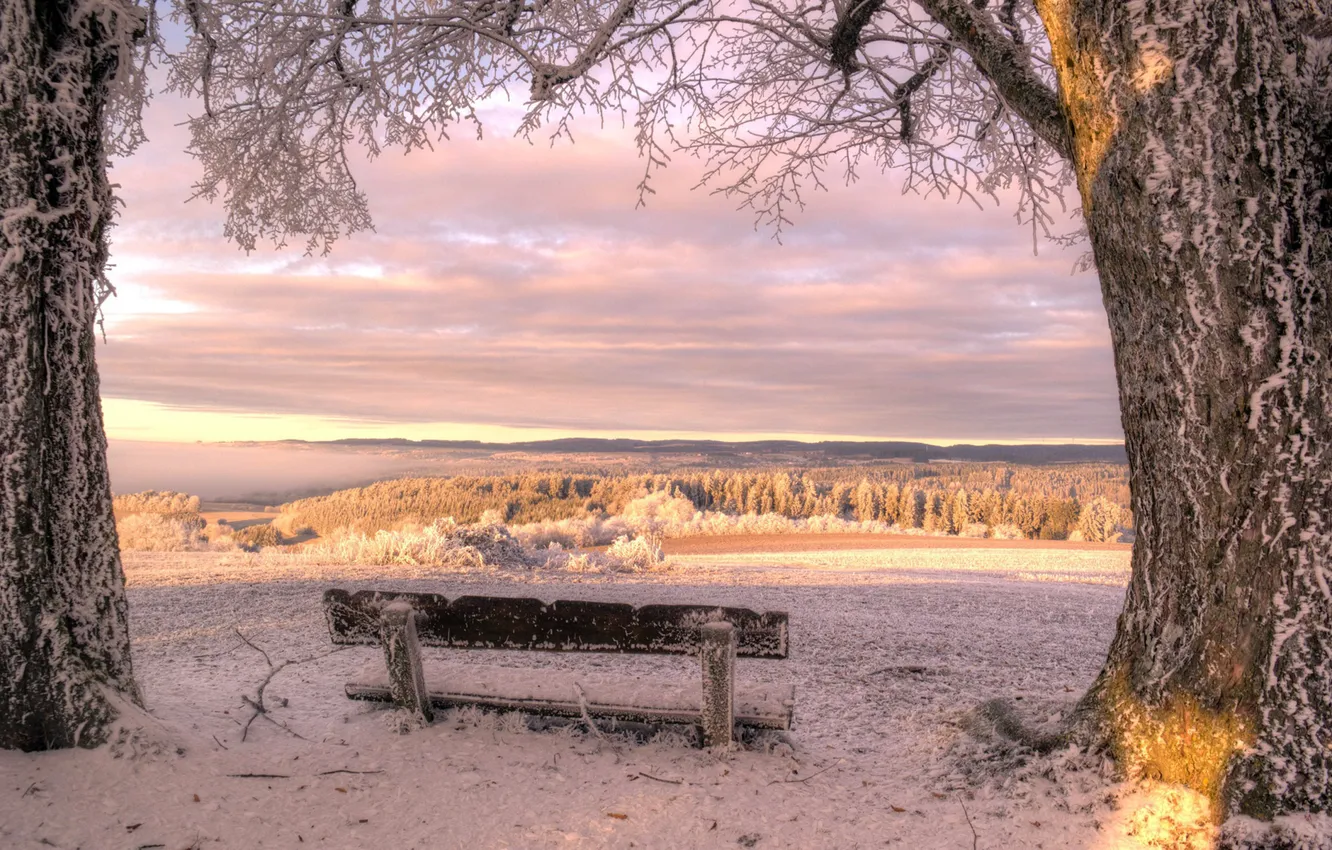 Photo wallpaper winter, snow, nature, bench