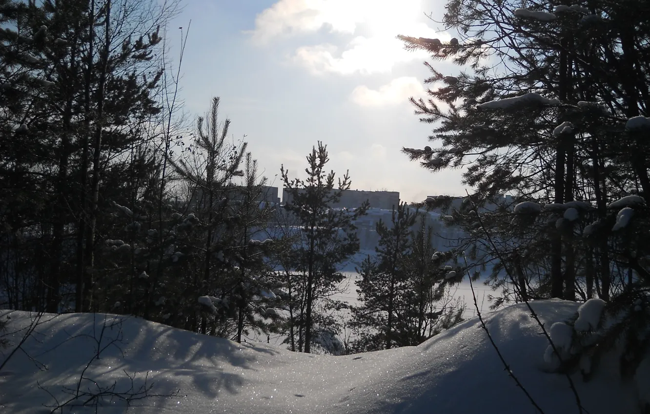 Photo wallpaper winter, the sky, the sun, snow