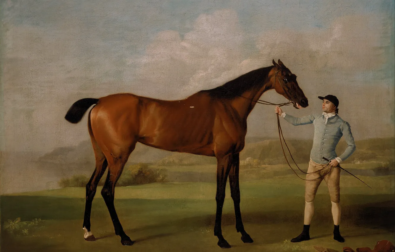 Photo wallpaper horse, picture, art, Molly Long legs with jockey (1761-62), Stubbs, race horse portrait