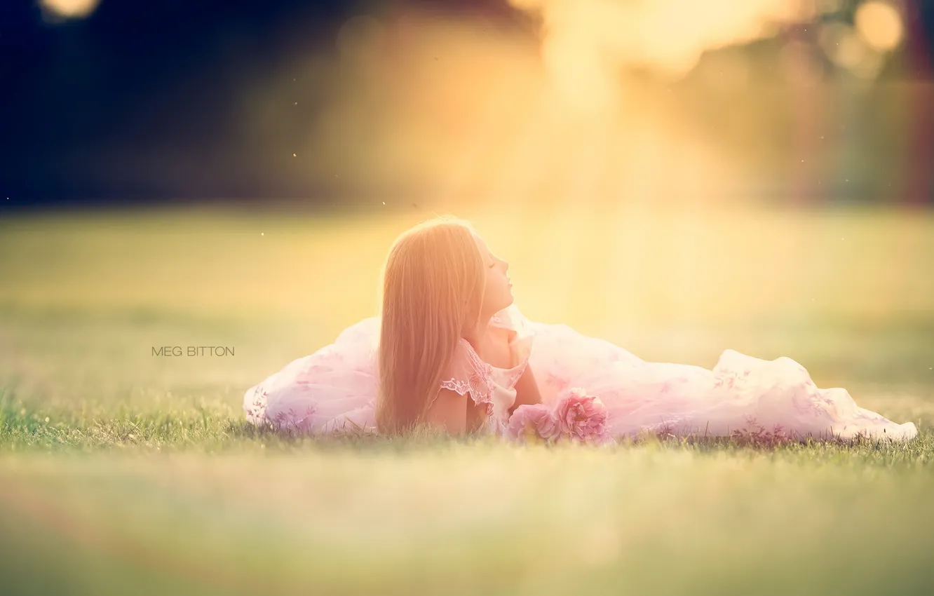 Photo wallpaper field, light, girl