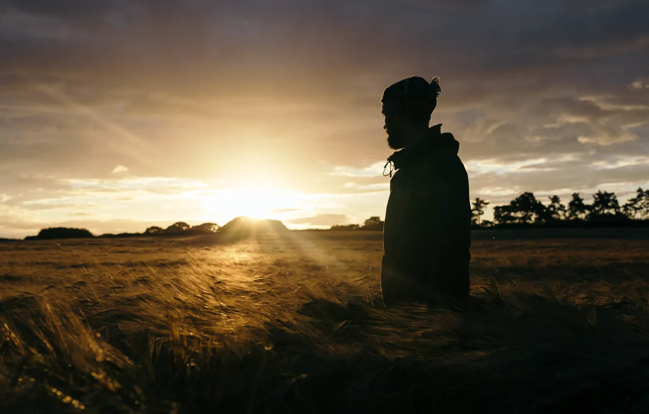Photo wallpaper field, light, people, morning