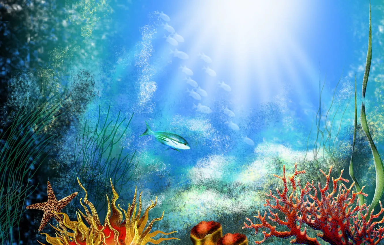 Photo wallpaper fish, algae, corals, The bottom